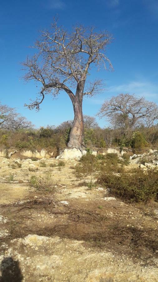 לינה וארוחת בוקר Kiloran Funzi House מראה חיצוני תמונה